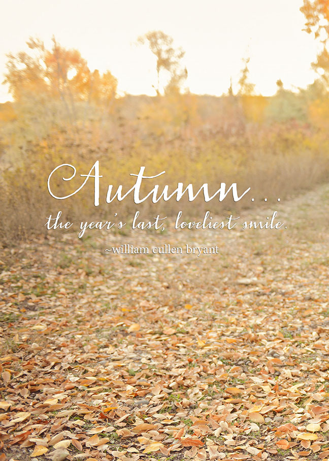 Autumn Printable | One Small Child