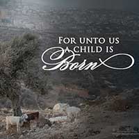 For Unto Us - Sheep | Free Christmas Printables at One Small Child