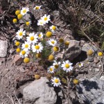 Weekend Getwaway - One Small Child