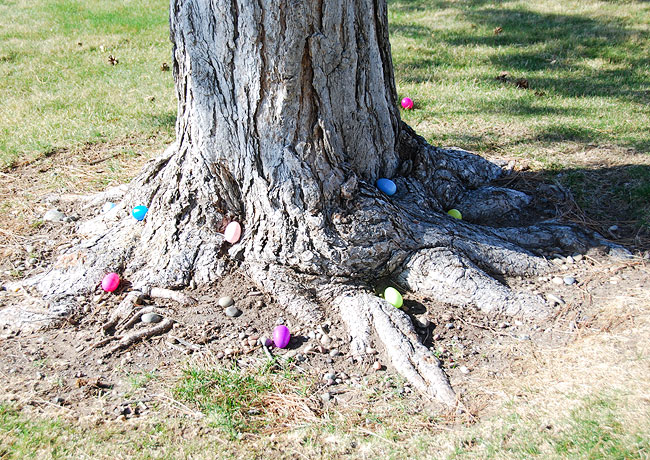 Easter Egg Hunt - One Small Child