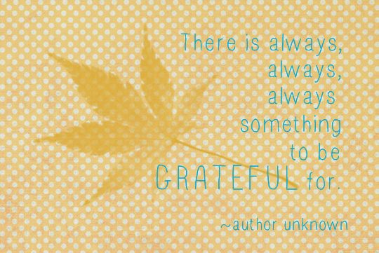Feeling Grateful Quote Blog - One Small Child
