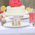 Summer Christening Look Book - One Small Child