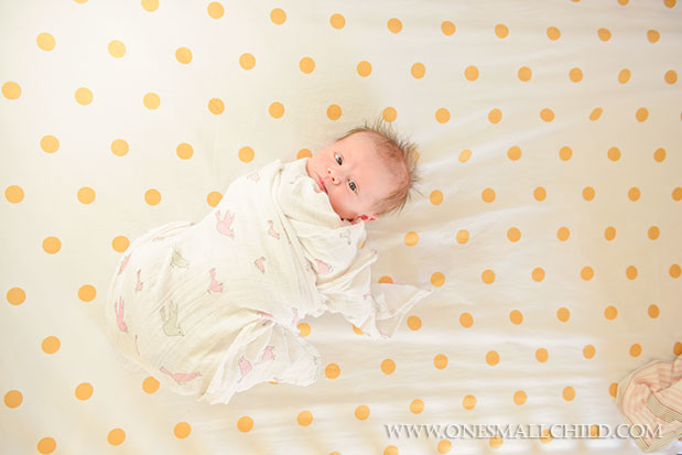 Swaddled BabyNellies Nursery - One Small Child