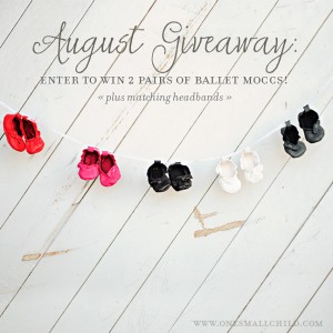 Baby Moccasin Giveaway   - One Small Child