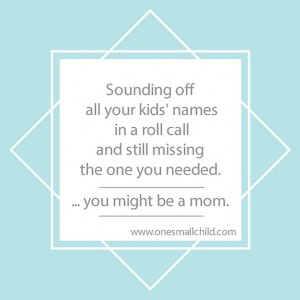 Motherhood Meme: Mixing Up Your Kids' Names - One Small Child