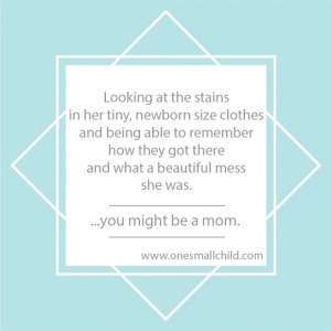 Mom Meme: Beautiful Mess - One Small Child