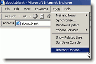 Internet Explorer Options Screenshot - One Small Child