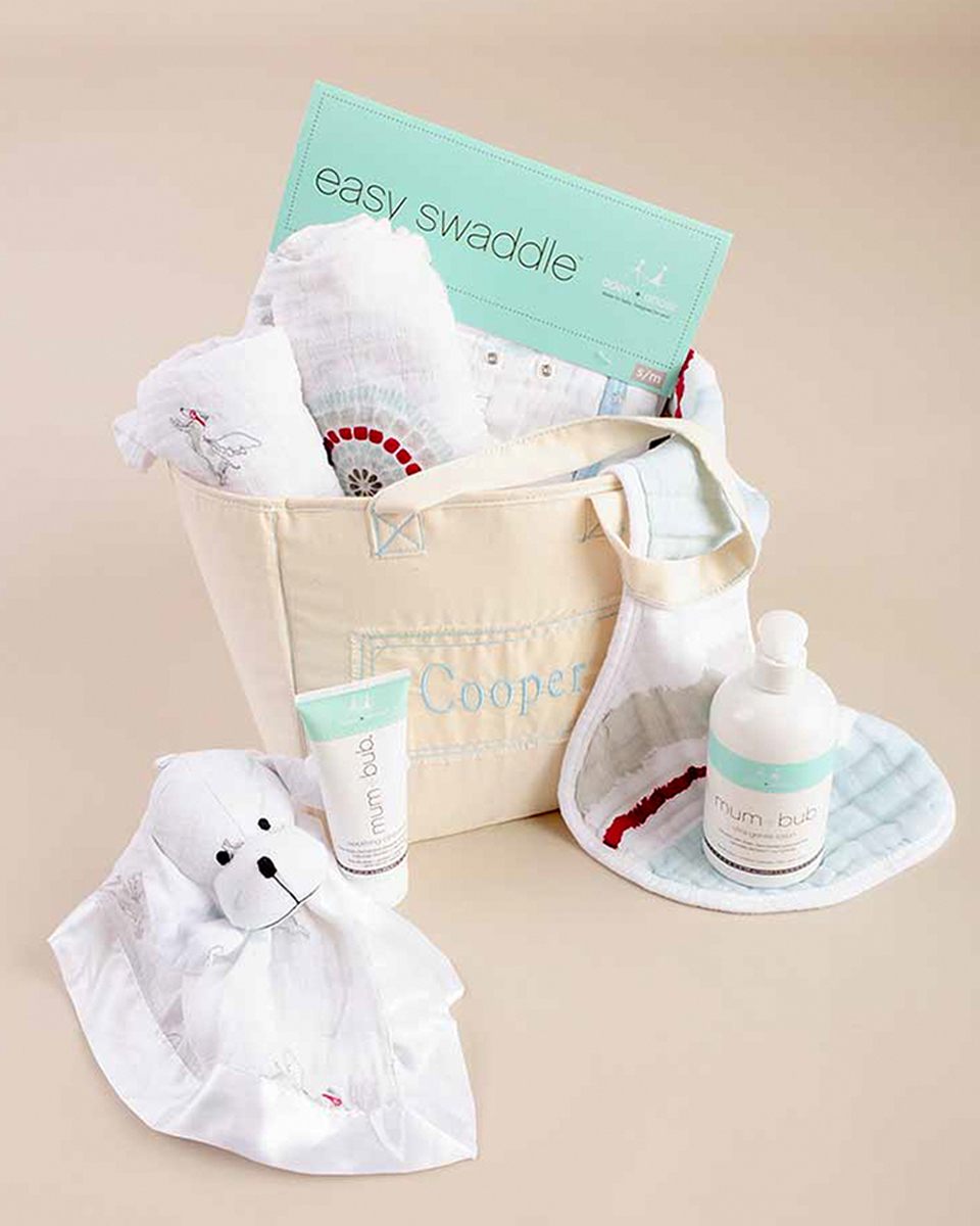 Aden + Anais Boy Gift Tote - One Small Child