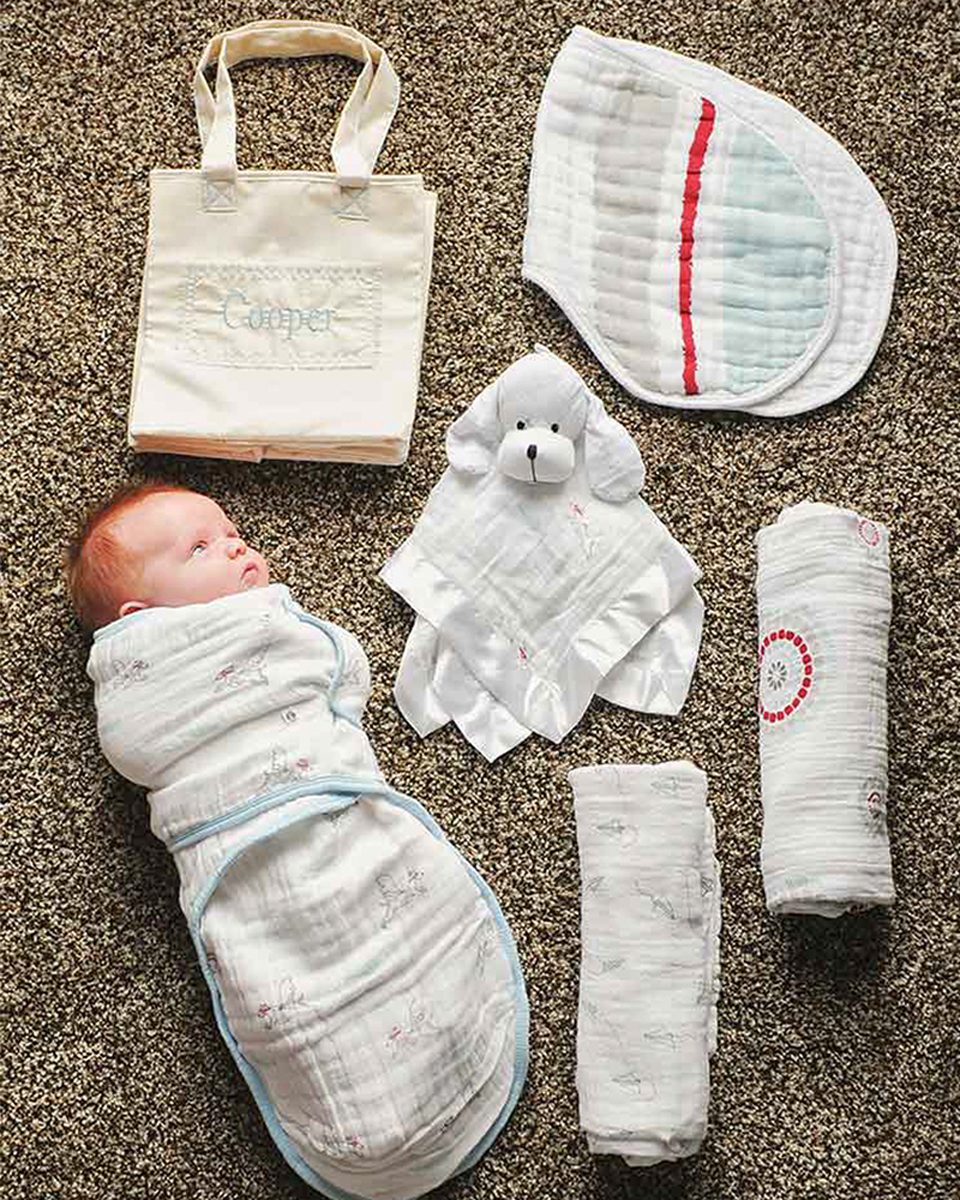 Aden + Anais Boy Gift Tote - One Small Child