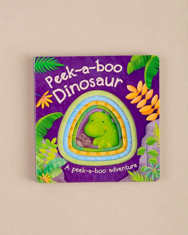 Dinosaur Gift Set - One Small Child